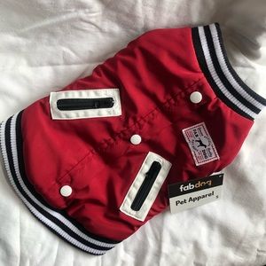 Doggy Varsity Jacket 🐶🏈🧢